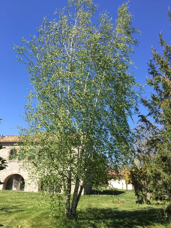 Agriturismo Le Due Arcate Villa Сан Масимо Екстериор снимка