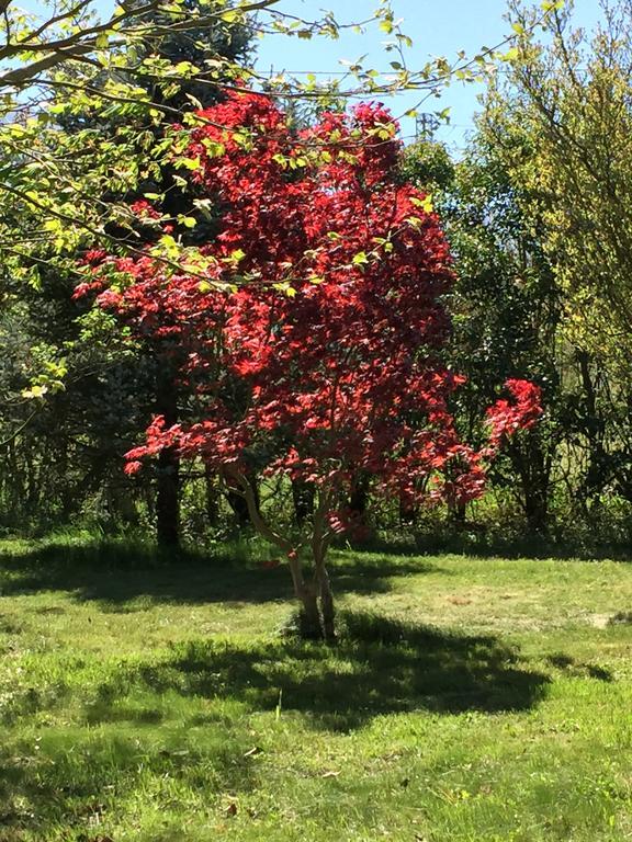 Agriturismo Le Due Arcate Villa Сан Масимо Екстериор снимка